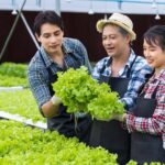 multigenerational asian family working on a farm